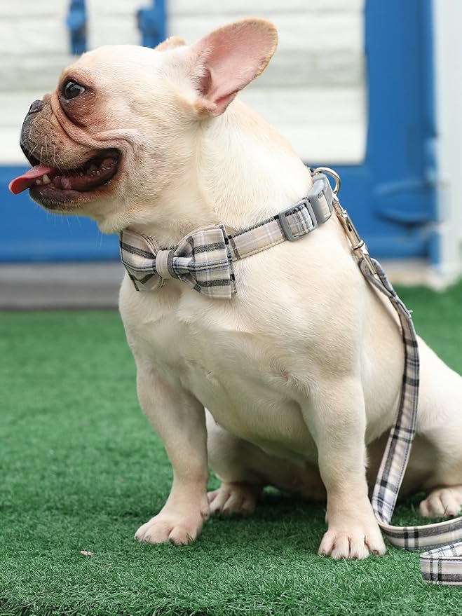 Lionet Paws Dog and Cat Collar with Bowtie Grid Collar Plastic Buckle Light Adjustable Collars for Small Medium Large Dogs