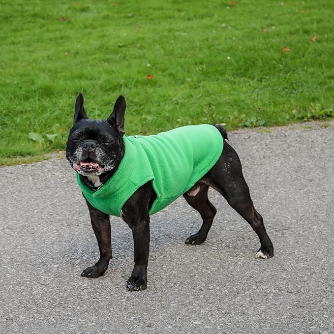 JACKO & CO - Fleece Vest Dog Sweater with Leash Ring - Soft, Warm & Lightweight Pullover Coat for Small & Medium Dogs, Puppies & Cats - Cozy Fall/Winter/Spring Pet Jacket (Green, X-Large 17-25lbs)