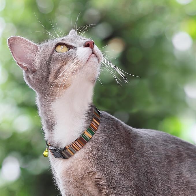 Cat Collars 2 Pack - Soft Cute Breakaway Collar with Bell, Adjustable Safety Kitten Collars for Girl & Boy Cats – Comfortable Stylish Patterned Print Lightweight (Serape + Native)
