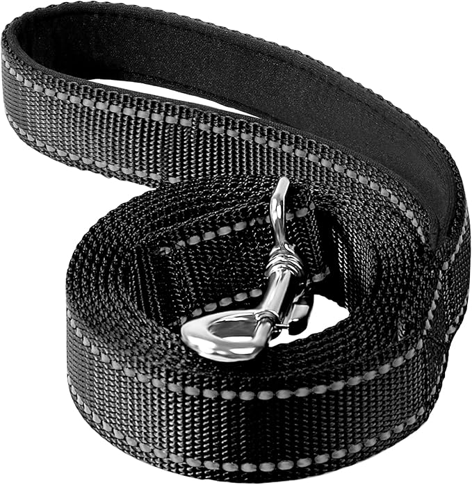 4FT Reflective Nylon Dog Leash with Soft Padded Handle for Walking, Running and Training, Supports Small Medium and Large Dogs (Black, 3/4 Inch Wide)