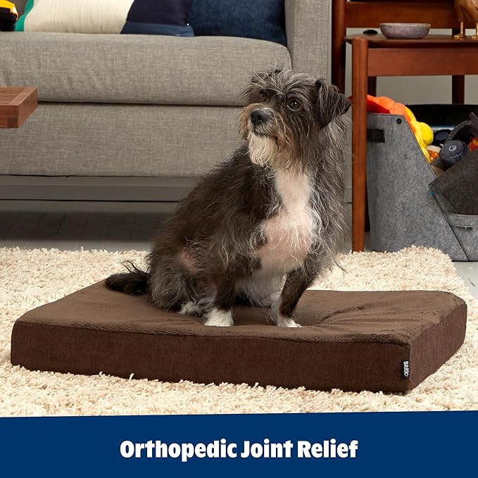 Barkbox Orthopedic Dog Bed | Comfortable Memory Foam Mattress for Joint Relief | Head and Neck Support Waterproof with Non Skid Bottom | Calming Durable Bed with Washable Cover | Small, Espresso