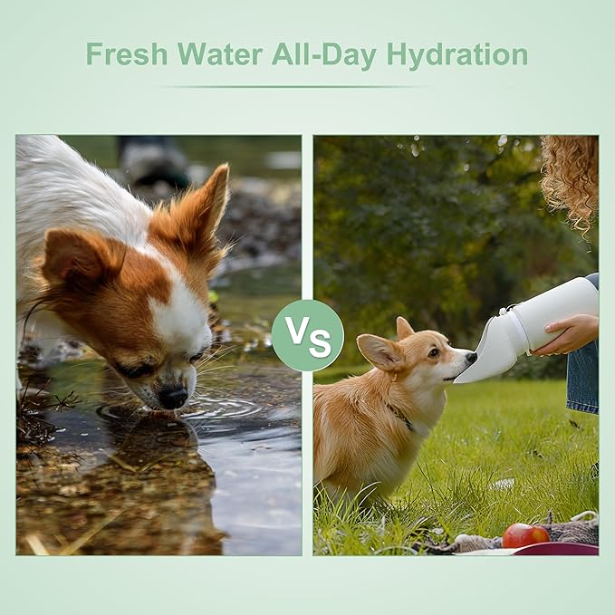 Portable Dog Water Bottle, Collapsible Leak-Proof Water Dispenser, Dog Travel Water Bottle for Hiking Travel, 550ml, Grey