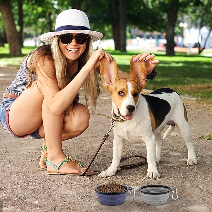 SLSON Dog Bowls Pet Collapsible Bowl with Cover Lids,2 Pack Dog Travel Bowls Portable Foldable Cat Water Dish Bowl for Pets Walking Parking Camping (Taro Purple and Concrete Gray, Small)
