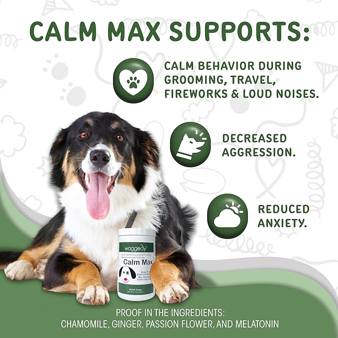 waggedy Calm Max — Calming Chews for Dogs for Balanced Behaviour & Anxiety Relief — Calming Dog Treats for Travel, Fireworks & Separation — Dog Supplements & Vitamins (60 Chews)