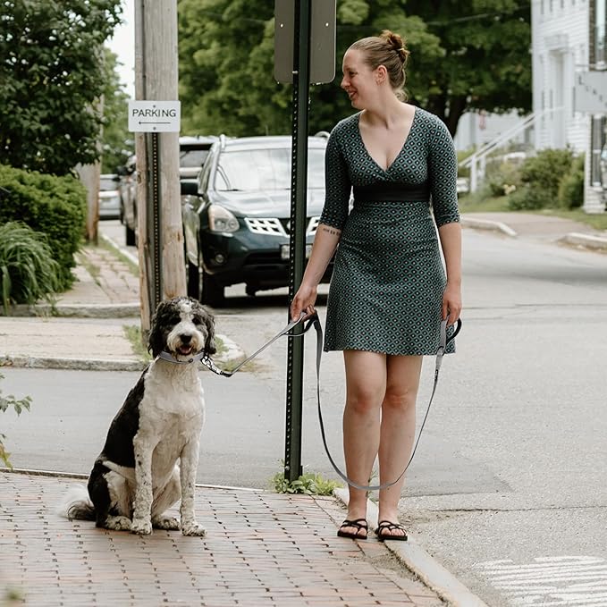 Fida 5 FT Heavy Duty Dog Leash with 2 Comfortable Padded Handles, Traffic Handle & Advanced Easy Snap Hook, Reflective Walking Lead for Large, Medium & Small Breed Dogs, Grey