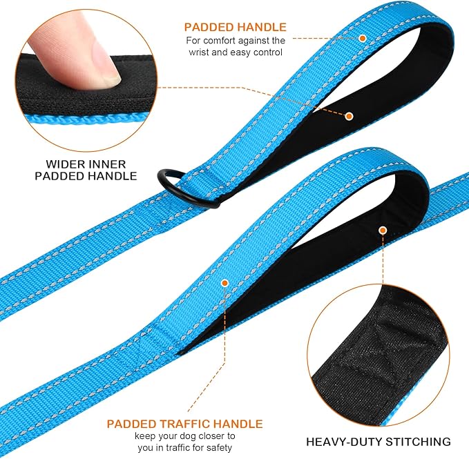 Joytale Dog Leash Heavy Duty for Large Dogs That Pull, Double Handle for Traffic Control, Double-Sided Reflective Leashes for Large Medium Dogs Night Safety, 5FT, Aqua Blue