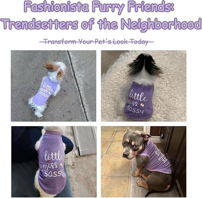 Paiaite Dog Clothes Fashionable Sleeveless Pet Vest: 'Little Miss Sassy' Printed Cotton Dog Shirt, Ideal for Small, Medium, and Large Breeds, Ensuring Comfort and Breathability Purple XL