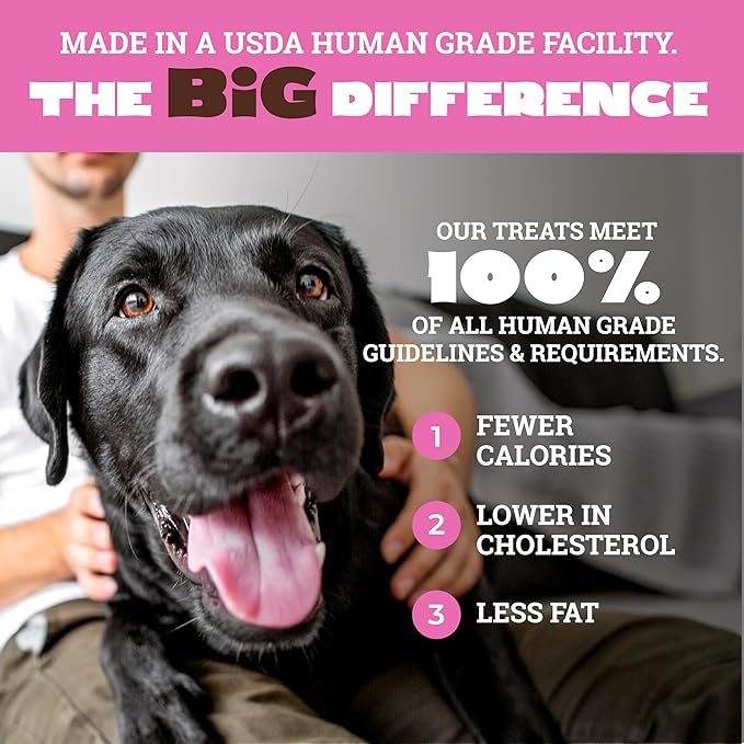 etta says! Big Yumm Sticks - Real Meat Pork Dog Jerky Treats - Human Grade - Made in The USA (12 Count Pack of 1)