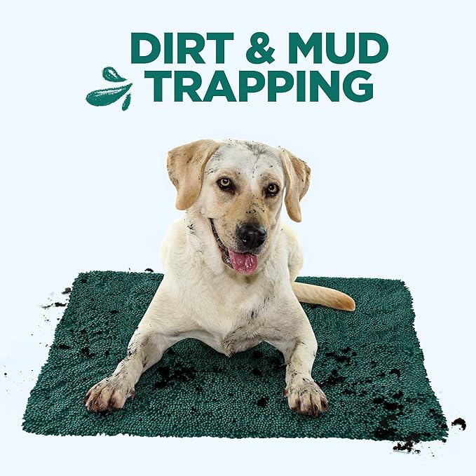 Soggy Doggy Doormat Plain Solid Color Design - Ultra Absorbent Microfiber Chenille Wet Dog Mat for Muddy Paws - Non-Slip and Machine Washable (Evergreen, Extra-Large 36” x 60”)