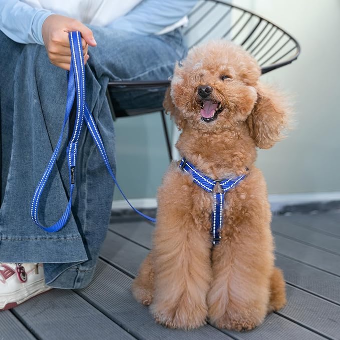 EXCELLENT ELITE SPANKER No Pull Dog Harness Reflective Nylon Vest L-Shaped Adjustable Easy Pet Harness for Small Medium Large Breeds Dogs Walking Training Black Red(Purple-S)
