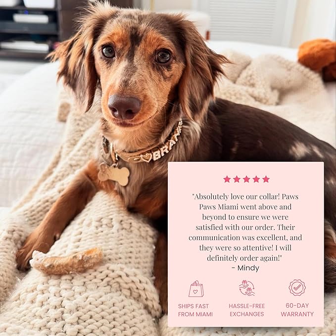 Paws Paws Miami Custom Dog Collar for Large Dogs, Personalized with Name in Gold-Plated Cubic Zirconia Initials and Charm Jewels Leather Collars, Neon Pink