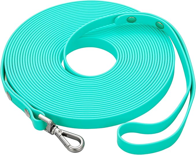 Waterproof Long Dog Training Leash 6ft Outdoor PVC Dog Leashes Great for Large Medium Small Dog Training Lead,Beach,Yard,Play,Camping(Mint Green