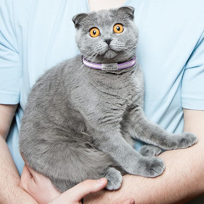 Cat Collar Personalized - Breakaway Reflective Cat Collar with Bell-Custom Cat Collars Engraved with Name and Phone, Adjustable for Cats and Kitten