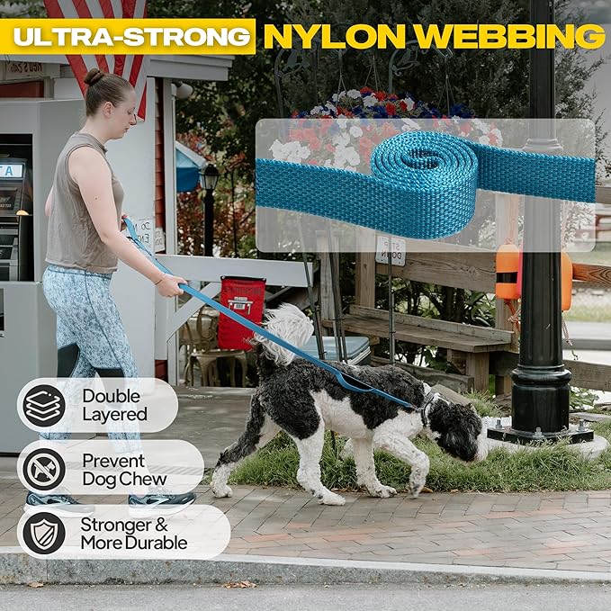 Fida 10ft Heavy Duty Dog Leash with 2 Comfortable Padded Handles, Traffic Handle & Advanced Easy Snap Hook, Reflective Walking Lead for Large, Medium & Small Breed Dogs,Blue