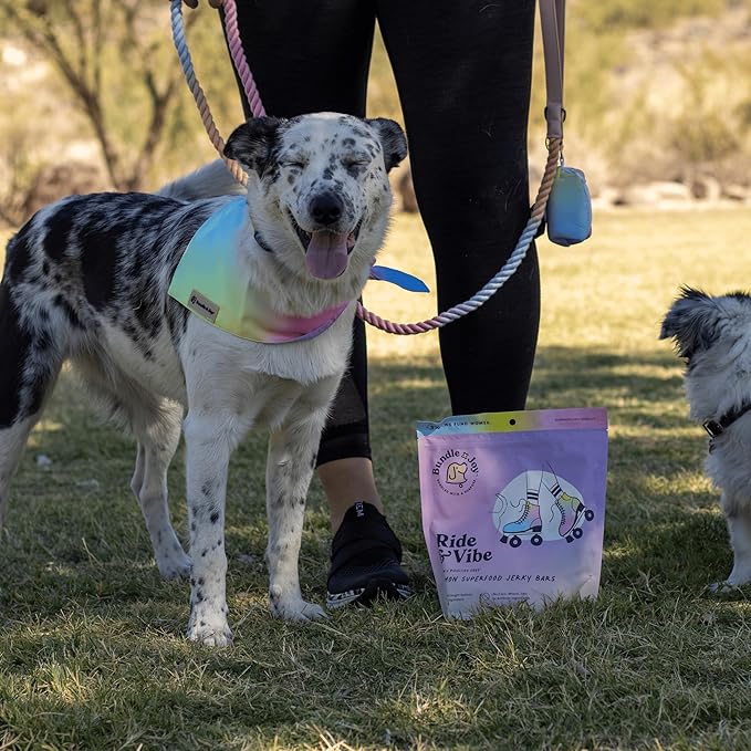 Ride & Vibe Dog Treats, Wild Caught Salmon Jerky, Snack Bars, Puppy Training Treats, Natural Superfood, Grain, Corn, Poultry & Soy Free, 5oz