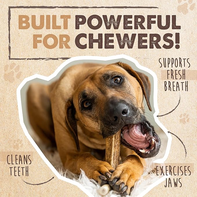 Mighty Paw Naturals Split Elk Antler for Dogs | USA Sourced, Long Lasting Chew for Aggressive Chewers – Low Odor, Natural Alternative to Dog Toys