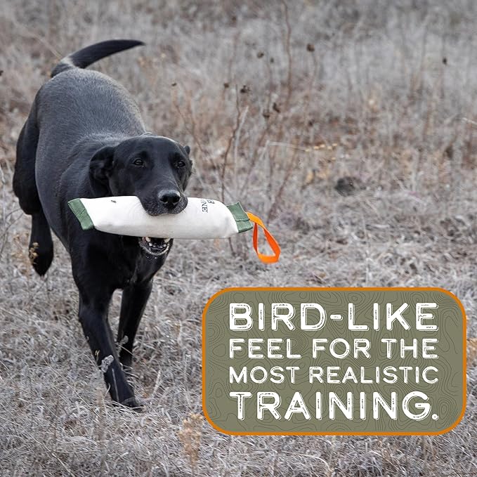 DogBone Duck Canvas Training Dummy for Hunting Dogs | Dog Bumper | Hunting Dog Toys | Hunting Dog Accessories | Hunting Dog Training Toys | Dog Training Dummy for Dogs