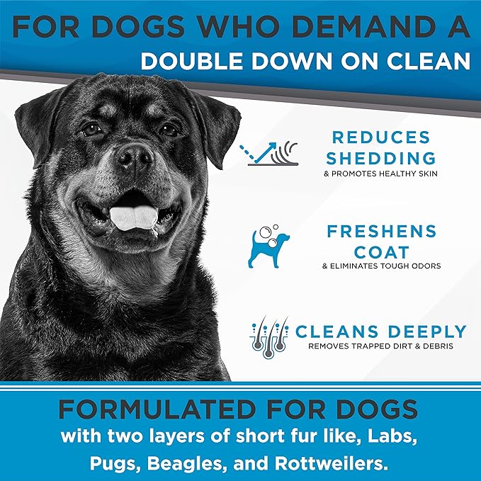 TropiClean Perfect Fur Deodorizing and Deshedding Dog Shampoo for Smelly Dogs, For Breeds with Short Double Coats like Corgis, Labs, Beagles, Rottweilers, Natural Shampoo, Puppy Safe, 16oz