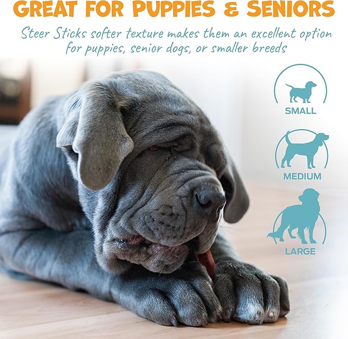 Steer Pizzle Sticks for Dogs Rawhide Free Dog Treats - Single Ingredient Bullysticks Natural Dogs Chews - Odor Free Bully Sticks - Fully Digestible Dog Chew Stick 11-12" (10 Count)