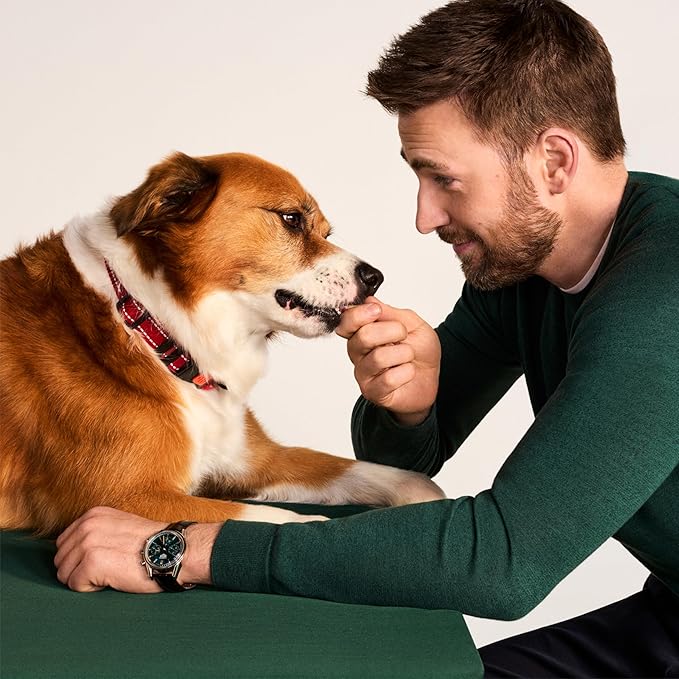 Jinx Chicken Bites Jerky Dog Treats - Soft & Chewy, All Natural Dog Jerky Treats with Cage-Free Chicken - Pet Products for All Dogs (Puppies, Adults & Seniors) - 5oz