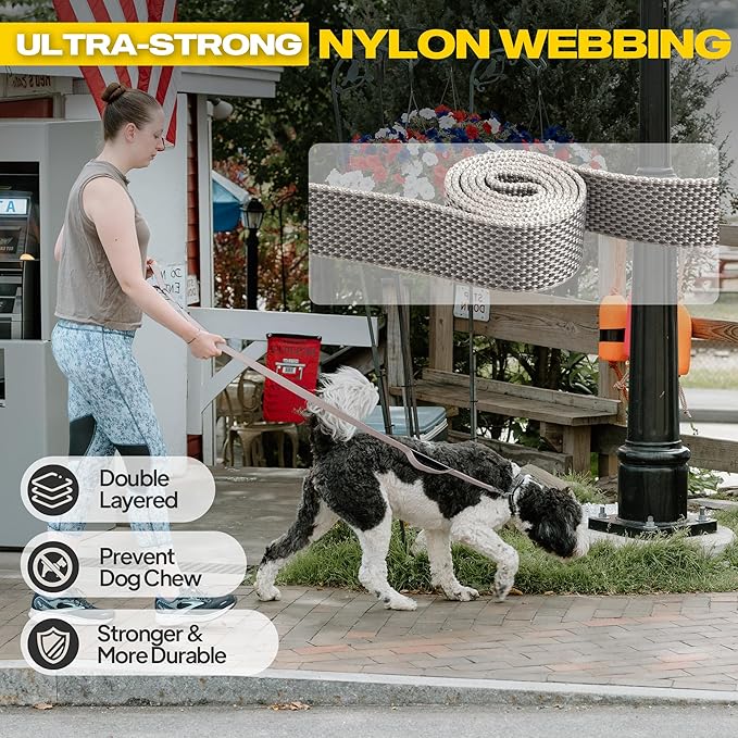 Fida 10ft Heavy Duty Dog Leash with 2 Comfortable Padded Handles, Traffic Handle & Advanced Easy Snap Hook, Reflective Walking Lead for Large, Medium & Small Breed Dogs, Grey