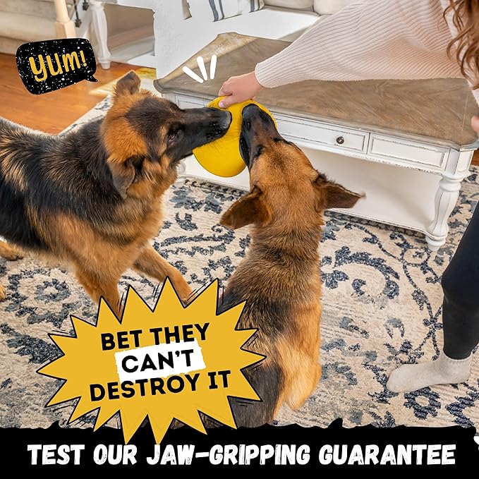 "Indestructible Dog Disc - Lifetime Replacement - Medium & Large Breed - Ultra Durable for Aggressive Chewers - Tough & Strong, Heavy Duty Natural Rubber Toy - Fetch, Tug, & Chew - 8in