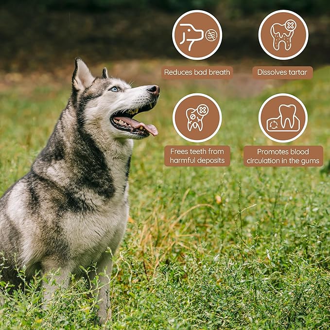 Wildfang® Olive Wood Chewing Sticks for Dogs, Large - Tough Chew Toys for Aggressive Chewers, Puppy Chew Toys for Teething, Training for Chewing Muscles, Olive Wood Stick for Dog (Over 55lbs), 3pack