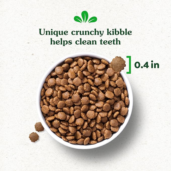 Greenies Smart Essentials Puppy High Protein Dry Dog Food Real Chicken & Brown Rice Recipe, 27 lb. Bag