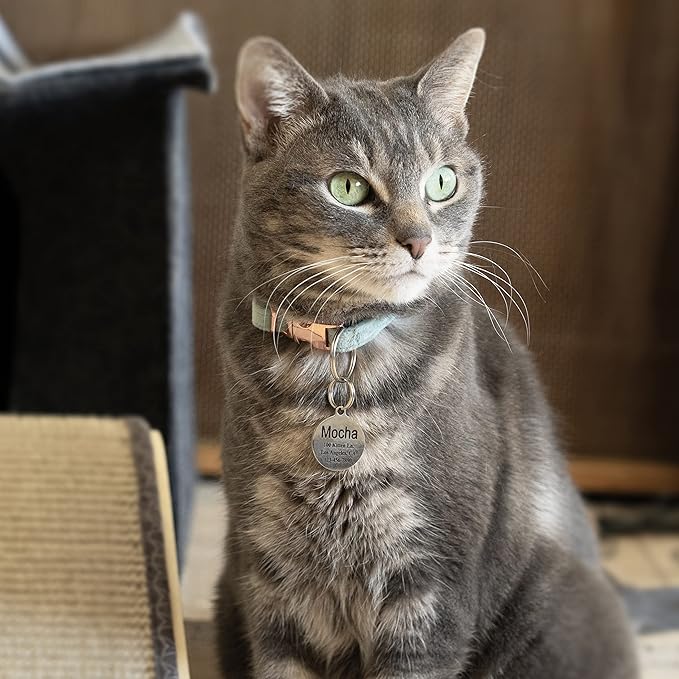 Ultra Joys Engraved Cat Name Tags Personalized - Stainless Steel Name Tag Pet Identification - Small Dog ID Tags Personalized for up to 4 Lines of Text - Pet ID Tags for Cat Collar - Pumpkin