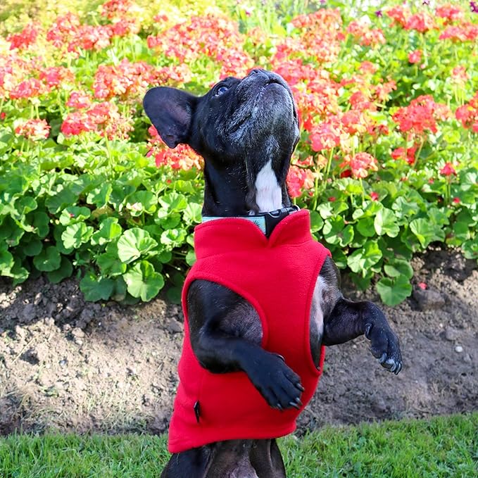 JACKO & CO - Fleece Vest Dog Sweater with Leash Ring - Soft, Warm & Lightweight Pullover Coat for Small & Medium Dogs, Puppies & Cats - Cozy Fall/Winter/Spring Pet Jacket (Red, Large 10-16lbs)