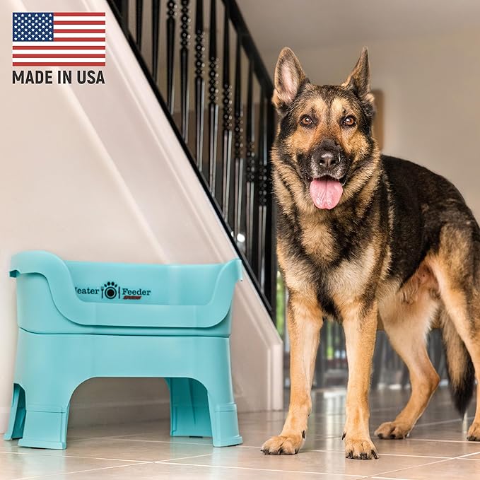 Neater Feeder Deluxe Mess Proof Dog Bowls Elevated for Large Dogs – Made in USA – No Spill Raised Dog Food Bowl Stand w/Leg Extensions – Stainless Steel Dog Food and Water Bowl Set – Teal
