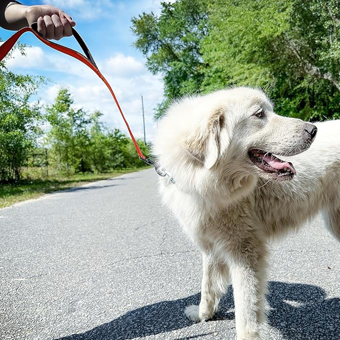 Joytale Dog Leash Heavy Duty for Large Dogs That Pull, Double Handle for Traffic Control, Double-Sided Reflective Leashes for Large Medium Dogs Night Safety, 6FT, Orange