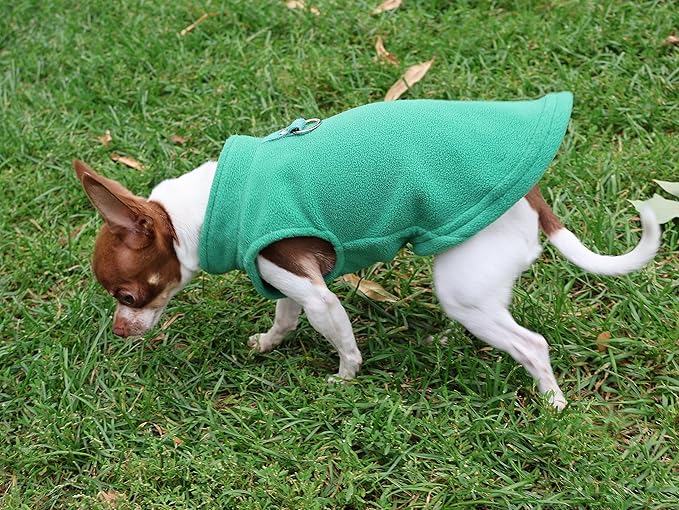 JACKO & CO - Fleece Vest Dog Sweater with Leash Ring - Soft, Warm & Lightweight Pullover Coat for Small & Medium Dogs, Puppies & Cats - Cozy Fall/Winter/Spring Pet Jacket (Green, X-Small 2-4lbs)