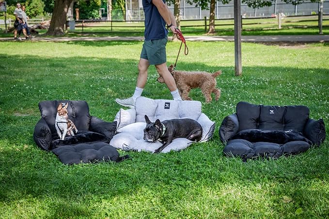 JACKO & CO - Premium Dog Car Seat v2 Firmer Booster Seat for Small Medium Pets Under 30lbs, Puppies, Cats -Travel Bed & Bag, Clip-On Leash Water Resistant (Black/Small (1-30lbs)