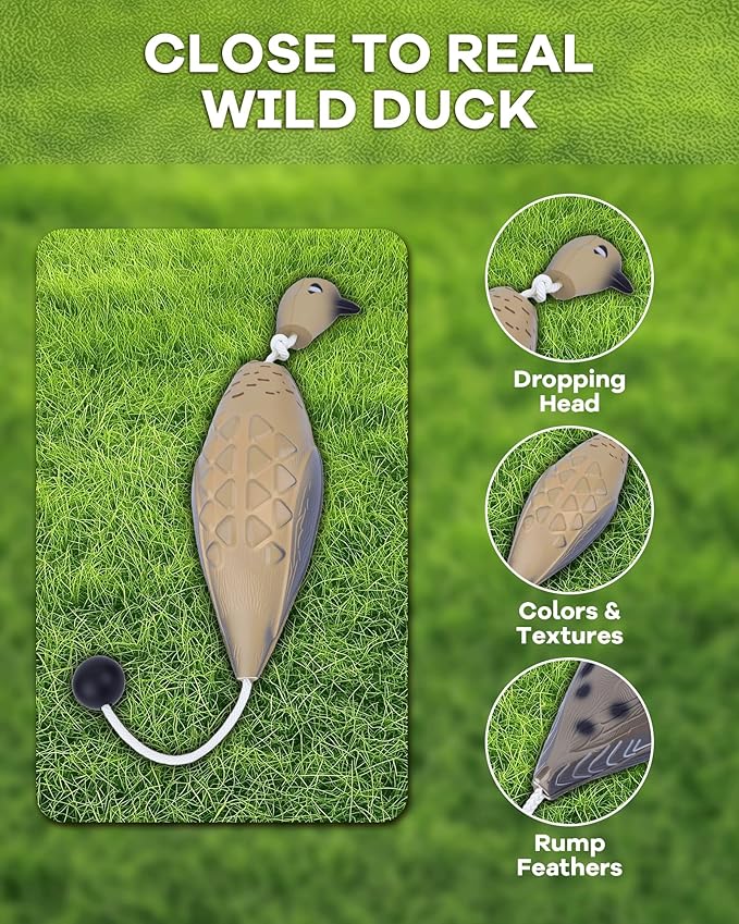 Dog Bumper for Water Retrieving - Bionic Dove Dog Training Dummy with Floating and Tear - Hunting Dog Toy - Durable Bite-Resistant Toy for Hound Training(Dove)