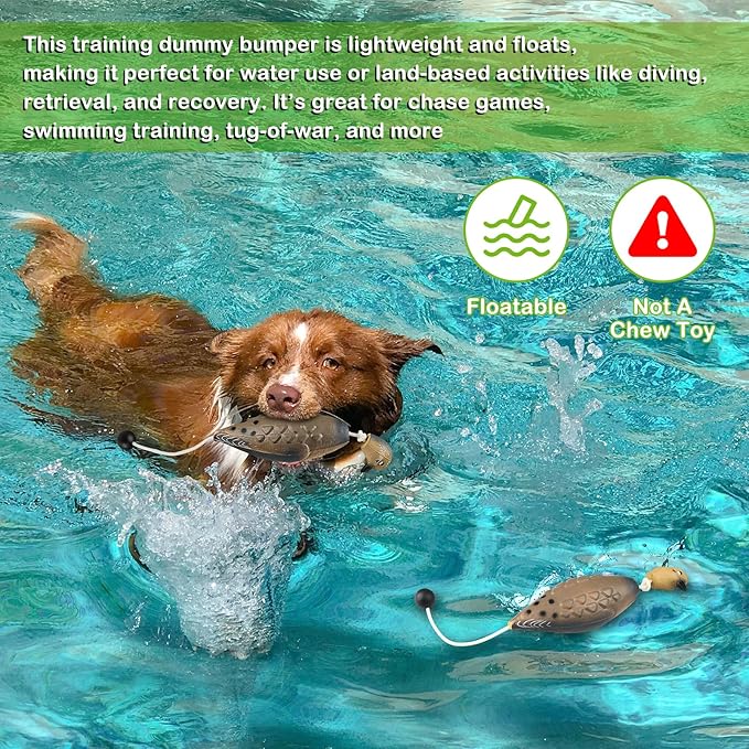Archerest Dead Duck Dove Pheasant Dummy Bumper Toys for Waterfowl Hunting Retriever Dog Training, Floating Mallard Dummy Trainer Outdoor Soft Durable Realistic Fowl