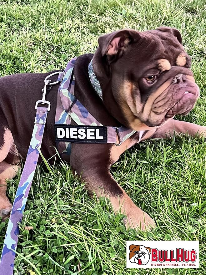 BULLHUG 6 FT Bulldog Leash With Padded Handle - Perfect for French Bulldogs, Pugs & All Breeds - Walking and Training Lead (Army Camouflage)