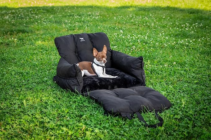 JACKO & CO - Premium Dog Car Seat v2 Firmer Booster Seat for Small Medium Pets Under 30lbs, Puppies, Cats -Travel Bed & Bag, Clip-On Leash Water Resistant (Black/Small (1-30lbs)