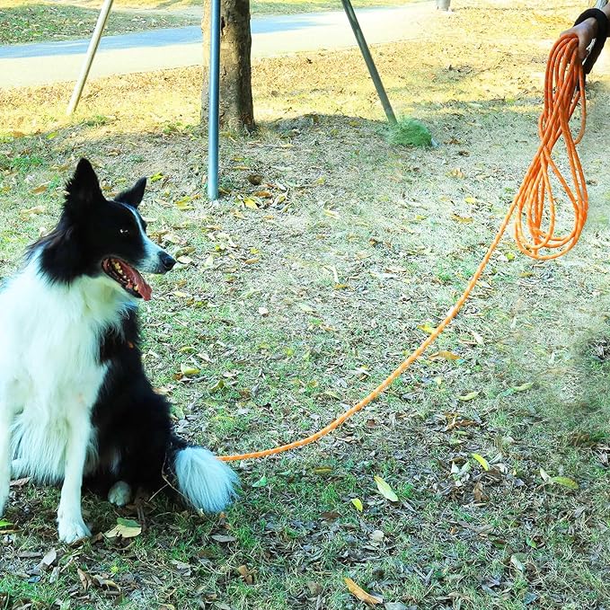 100FT Extra Long Dog Leash for Dog Training, Reflective Dogs Leash with Lockable Hook, Heavy Duty Dog Lead Tie Out Rope for Large Medium Small Dogs Outside Walking, Playing, Camping, or Yard Orange