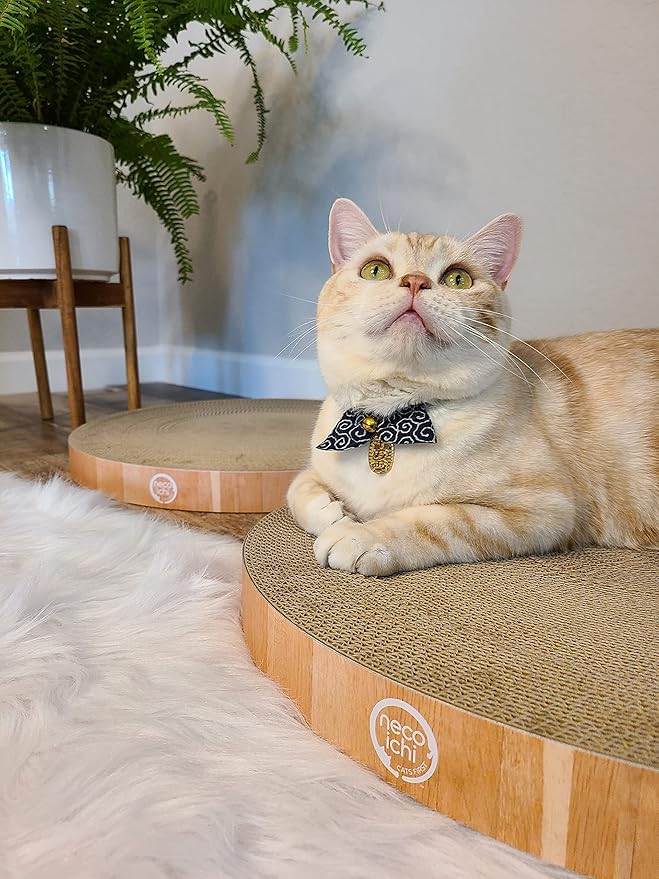 Necoichi Cat Scratcher Bowl Replacement for Indoor Cats - Cat Scratching Lounger with Reversible Usability and Extra Comfort for Lounge, Cardboard Bed Couch / (Regular, Oak)
