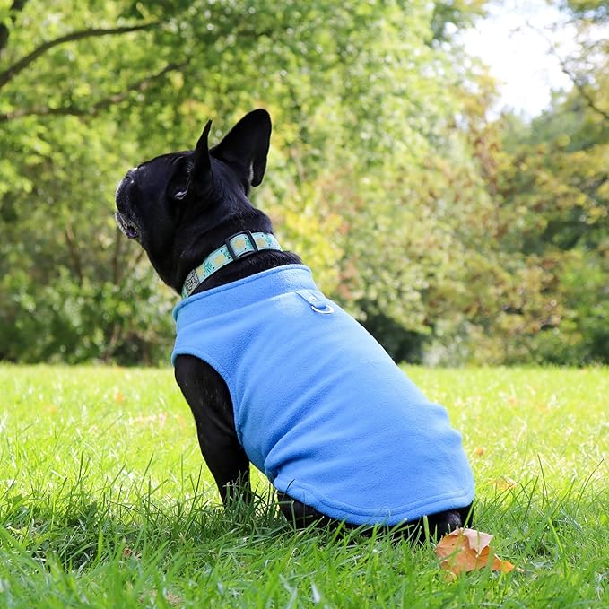 JACKO & CO - Fleece Vest Dog Sweater with Leash Ring - Soft, Warm & Lightweight Pullover Coat for Small & Medium Dogs, Puppies & Cats - Cozy Fall/Winter/Spring Pet Jacket (Blue, X-Small 2-4lbs)
