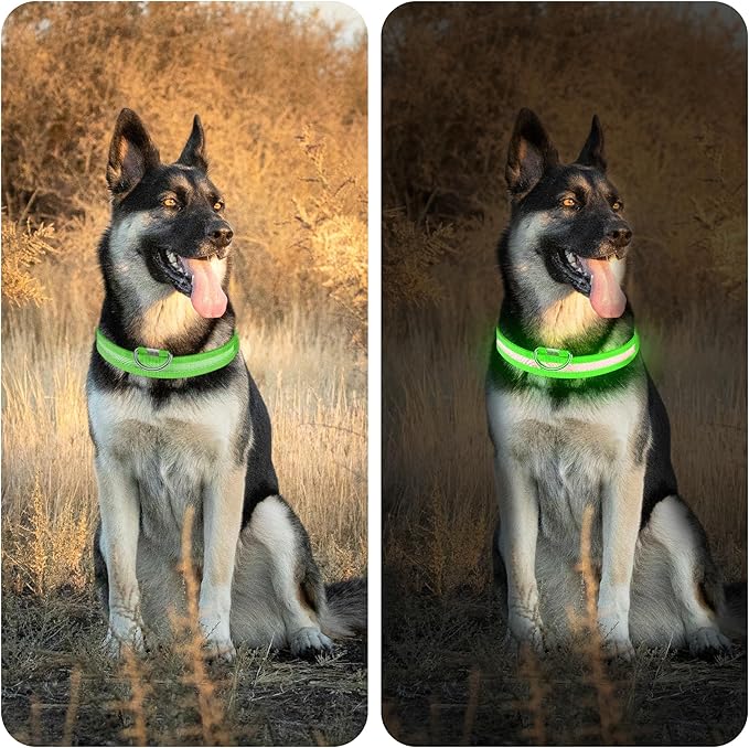 LED Light Up Dog Collar Rechargeable Waterproof, Glow in Dark Dog Collar, Lighted Dog Collars for Night Walking Charging USB, Safety for Small Medium Large Dogs (S, Green)