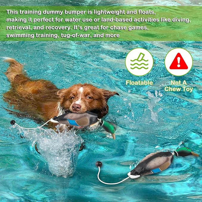 Archerest Dead Duck Dove Pheasant Dummy Bumper Toys for Waterfowl Hunting Retriever Dog Training, Floating Mallard Dummy Trainer Outdoor Soft Durable Realistic Fowl
