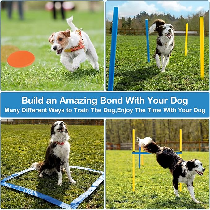 RAIN QUEEN Dog Agility Course Backyard Set - Agility Training Equipment for Dogs Starter Kit-Pet Outdoor Games with Tunnel, Weave Poles, Adjustable Hurdle, Jump Ring, Pause Box, Toys and Carrying Bag