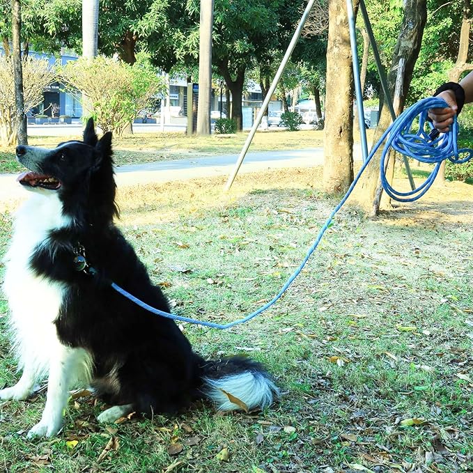 100FT Long Dog Leash for Dog Training, Lockable Hook Reflective Leash, Heavy Duty Dogs Lead Tie Out Rope for Large Medium Small Dogs Outside Walking, Playing, Camping, or Yard