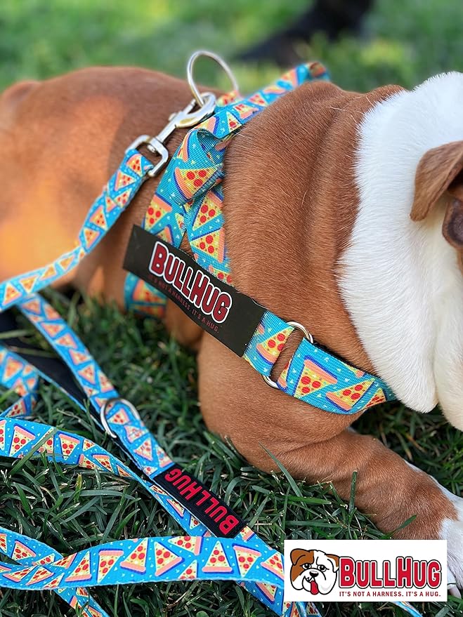 BULLHUG 6 FT Bulldog Leash with Padded Handle. Perfect for Bulldogs, French Bulldogs, Pugs & All Breeds. Leashes for Walking, Training Lead for Bulldogs (Pizza)