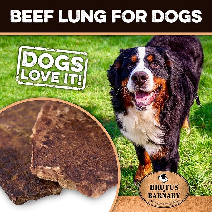 BRUTUS & BARNABY Beef Lung Fillets for Dogs – 100% USA-Sourced Single Ingredient Dog Treat – High Protein, Healthy, All-Natural Dog Chews – Grain-Free, No Additives, (8oz) – Made in The USA