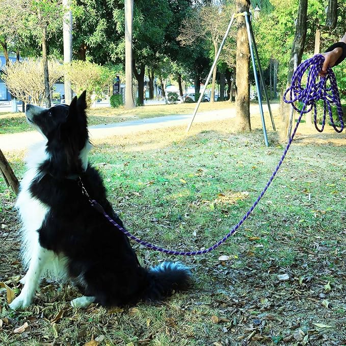 (2 Pack) Long Dog Leash for Dog Training 30FT, Lockable Hook Heavy Duty Dog Lead Tie Out Rope for Large Medium Small Dogs Outside Walking, Playing, Camping, or Yard(Black&Blue)